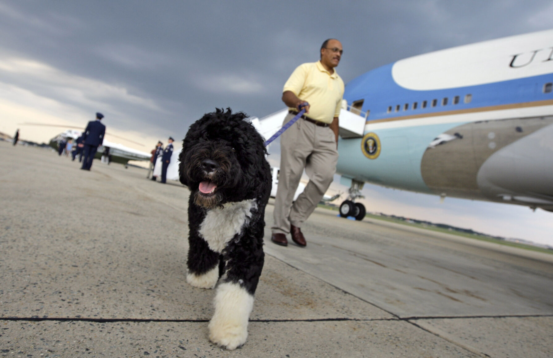 Bo Obama